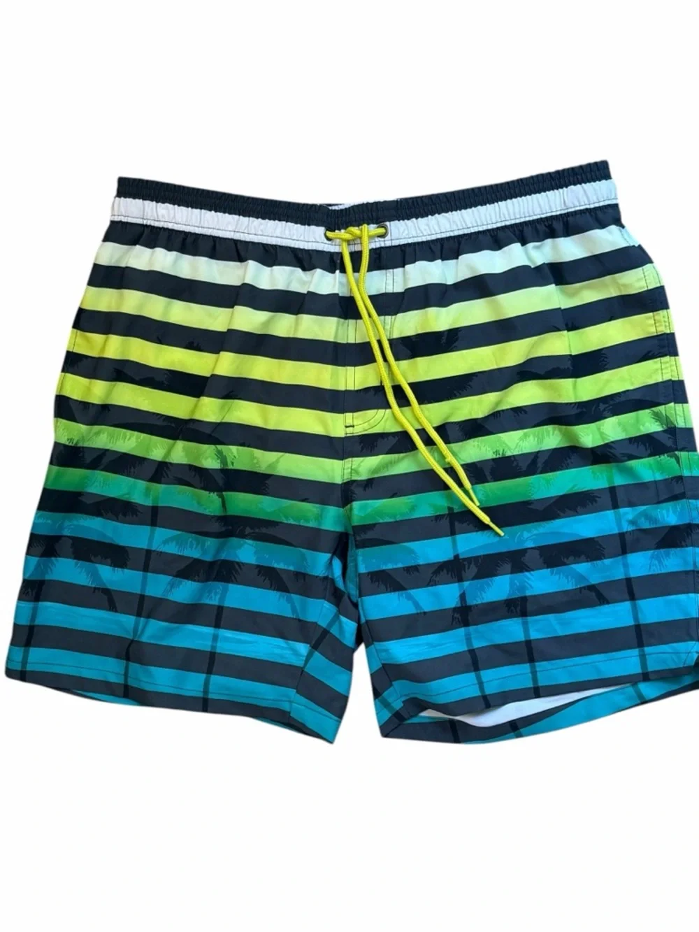 NWT L Hot Coals Men's Striped Lined Swim Trunks in Green & Blue